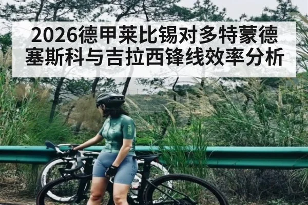 2026德甲莱比锡对多特蒙德塞斯科与吉拉西锋线效率分析